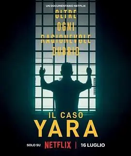 《雅拉命案 铁证背后》：拨开迷雾，揭秘惊心动魄的真相，一场关于信任与背叛的较量