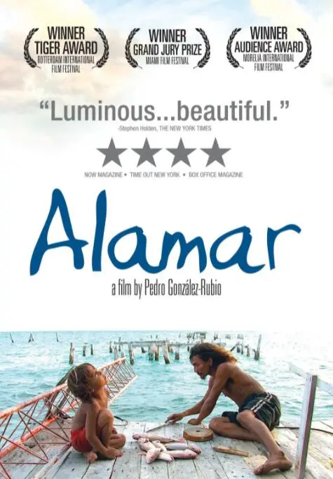 《拥抱大海》：治愈系情感巨制，青春悸动与命运交织的深情告白，海边童话等你走进